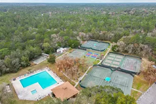 11 Carnation Ct E, Homosassa, FL 34446 - Photo 84