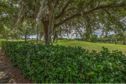 10751 Belfry Circle, Orlando, FL 32832 - Photo 40