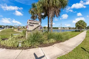 11951 Vermillion Ave, Windermere, FL 34786 - Photo 46