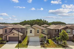 2139 Stellar Brilliance Wy, Lutz, FL 33558 - Photo 90