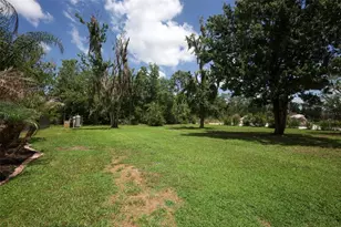 2461 Wassum Trail, Oviedo, FL 32766 - Photo 44