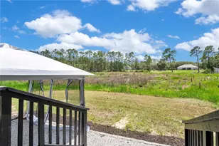 42111 Chinaberry Ct, Eustis, FL 32736 - Photo 24