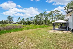 42111 Chinaberry Ct, Eustis, FL 32736 - Photo 28