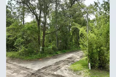 [Address not provided], Trenton, FL 32693 - Photo 16
