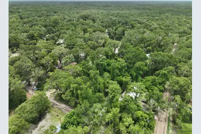 [Address not provided], Trenton, FL 32693 - Photo 6