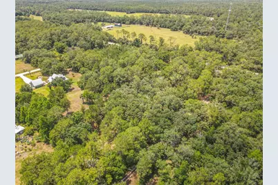 1395 Maytown Road, Osteen, FL 32764 - Photo 62