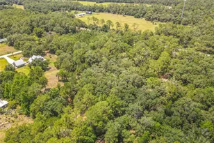 1395 Maytown Rd, Osteen, FL 32764 - Photo 62