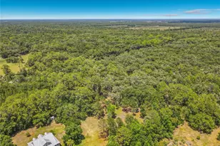 1395 Maytown Rd, Osteen, FL 32764 - Photo 64