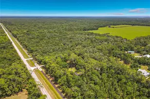 1395 Maytown Rd, Osteen, FL 32764 - Photo 60