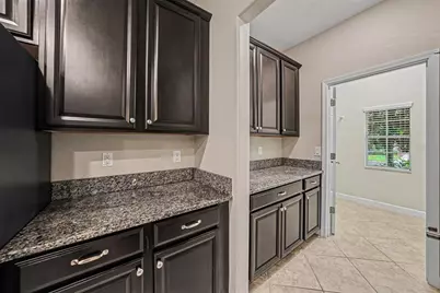 11809 Twilight Darner Place, Riverview, FL 33569 - Photo 8