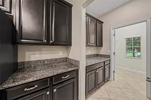 11809 Twilight Darner Pl, Riverview, FL 33569 - Photo 8