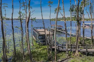 728 Forest St, Windermere, FL 34786 - Photo 82