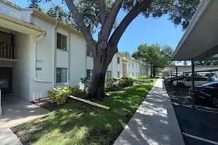 201 Palmetto Ct, Oldsmar, FL 34677 - Photo 2