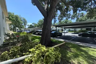 201 Palmetto Ct, Oldsmar, FL 34677 - Photo 4