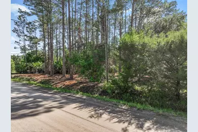 2679 Forest Park Street, Bunnell, FL 32110 - Photo 4