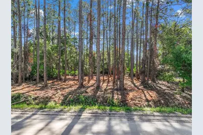 2679 Forest Park Street, Bunnell, FL 32110 - Photo 1