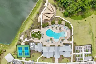 33460 Binding Ties Ln, Wesley Chapel, FL 33545 - Photo 62