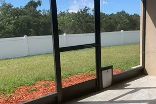 11355 Flora Springs Dr, Riverview, FL 33579 - Photo 32