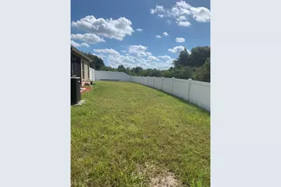 11355 Flora Springs Drive, Riverview, FL 33579 - Photo 20