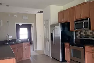 11355 Flora Springs Dr, Riverview, FL 33579 - Photo 12