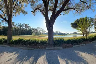 17708 Sawgrass Run, Deer Island, FL 32778 - Photo 60