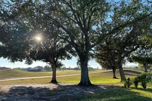 17708 Sawgrass Run, Deer Island, FL 32778 - Photo 54