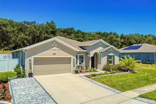 6084 Claystone Wy, Mount Dora, FL 32757 - Photo 90