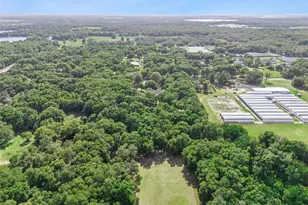 4275 Round Lake Rd, Apopka, FL 32712 - Photo 62