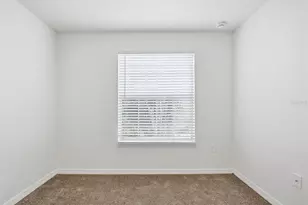 20506 Carolina Cherry Ct, Tampa, FL 33647 - Photo 36