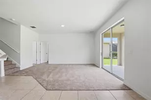20506 Carolina Cherry Ct, Tampa, FL 33647 - Photo 12