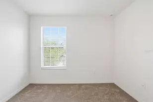 20506 Carolina Cherry Ct, Tampa, FL 33647 - Photo 24