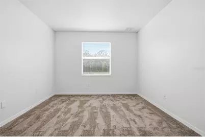 20506 Carolina Cherry Court, Tampa, FL 33647 - Photo 22