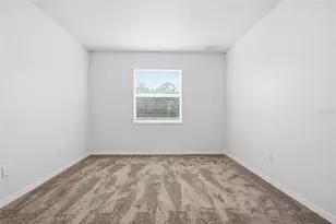 20506 Carolina Cherry Ct, Tampa, FL 33647 - Photo 22