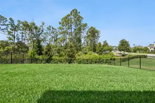 18422 Oliver Twist Wy, Winter Garden, FL 34787 - Photo 14