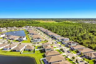 4291 Southern Vista Loop, Saint Cloud, FL 34772 - Photo 56