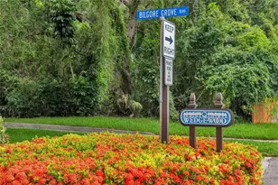 2612 2nd Ct, Palm Harbor, FL 34684 - Photo 28