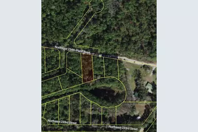 Ne 234th Place Road, Fort Mc Coy, FL 32134 - Photo 2