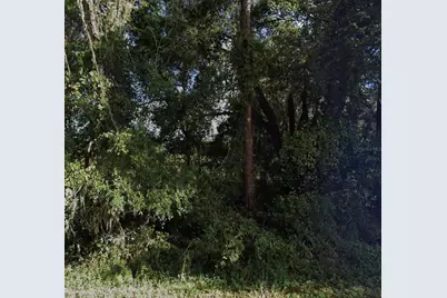 Ne 234th Place Road, Fort Mc Coy, FL 32134 - Photo 1