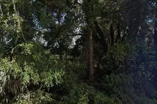 NE 234th Pl Rd, Fort Mc Coy, FL 32134 - Photo 1