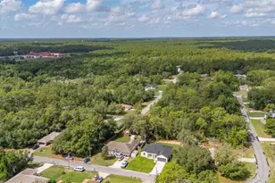 8100 N Hillview Cir, Dunnellon, FL 34434 - Photo 46