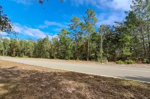 Tbd Tbd, Interlachen, FL 32148 - Photo 1