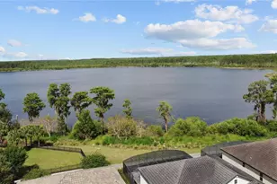 8394 Lookout Pointe Dr, Windermere, FL 34786 - Photo 64