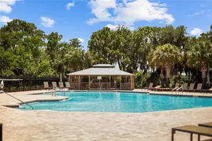 8394 Lookout Pointe Dr, Windermere, FL 34786 - Photo 52