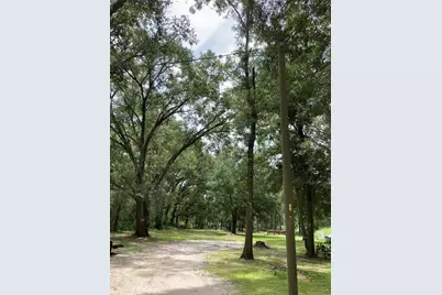 E Pine Avenue, Mount Dora, FL 32757 - Photo 2