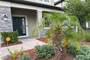 33263 Sycamore Leaf Dr, Wesley Chapel, FL 33545 - Photo 4
