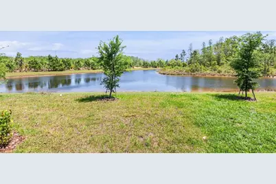 11236 Crescent Deer Drive, Land O Lakes, FL 34638 - Photo 14