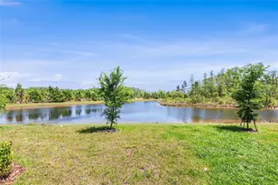 11236 Crescent Deer Dr, Land O Lakes, FL 34638 - Photo 14