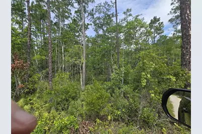 1135 Omega Ranch Road #4&5, New Smyrna Beach, FL 32168 - Photo 4
