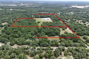 5501 Cemetery Rd, Mount Dora, FL 32757 - Photo 1