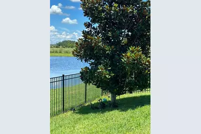 11819 Imaginary Way, Orlando, FL 32832 - Photo 42